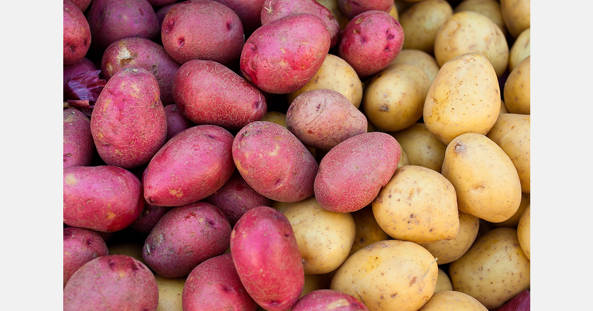 Antigua and Barbuda considers 15% food import reduction